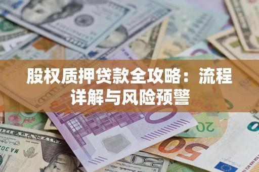 北京股权质押贷款全攻略：流程详解与风险预警