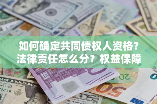 北京如何确定共同债权人资格？法律责任怎么分？权益保障技巧揭秘！
