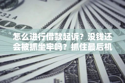 北京怎么进行借款起诉？没钱还会被抓坐牢吗？抓住最后机会！