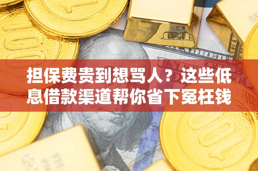 北京担保费贵到想骂人？这些低息借款渠道帮你省下冤枉钱