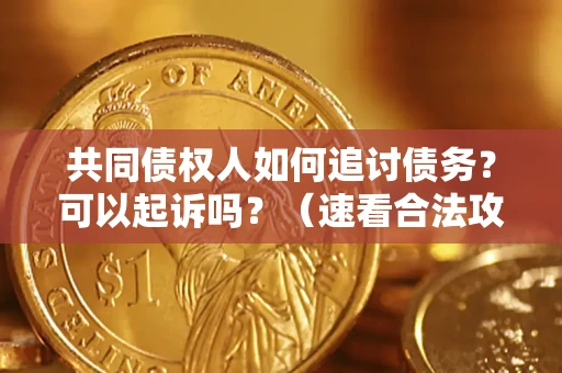 北京共同债权人如何追讨债务？可以起诉吗？（速看合法攻略）