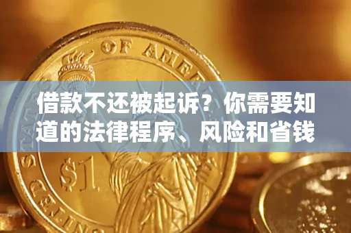 北京借款不还被起诉？你需要知道的法律程序、风险和省钱技巧