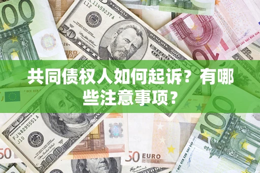 北京共同债权人如何起诉？有哪些注意事项？